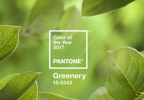 Nature avec feuilles dans les teintes verts anis Greenery, couleur Pantone 2017