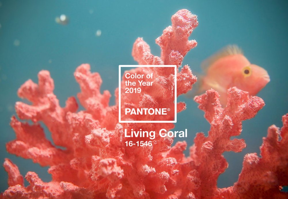 Livingg Coral-, couleur Pantone 2019 - BnbStaging le blog
