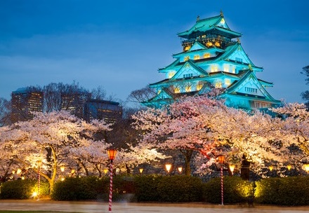 Osaka Castle lumière du soir avec cerisiers en fleurs